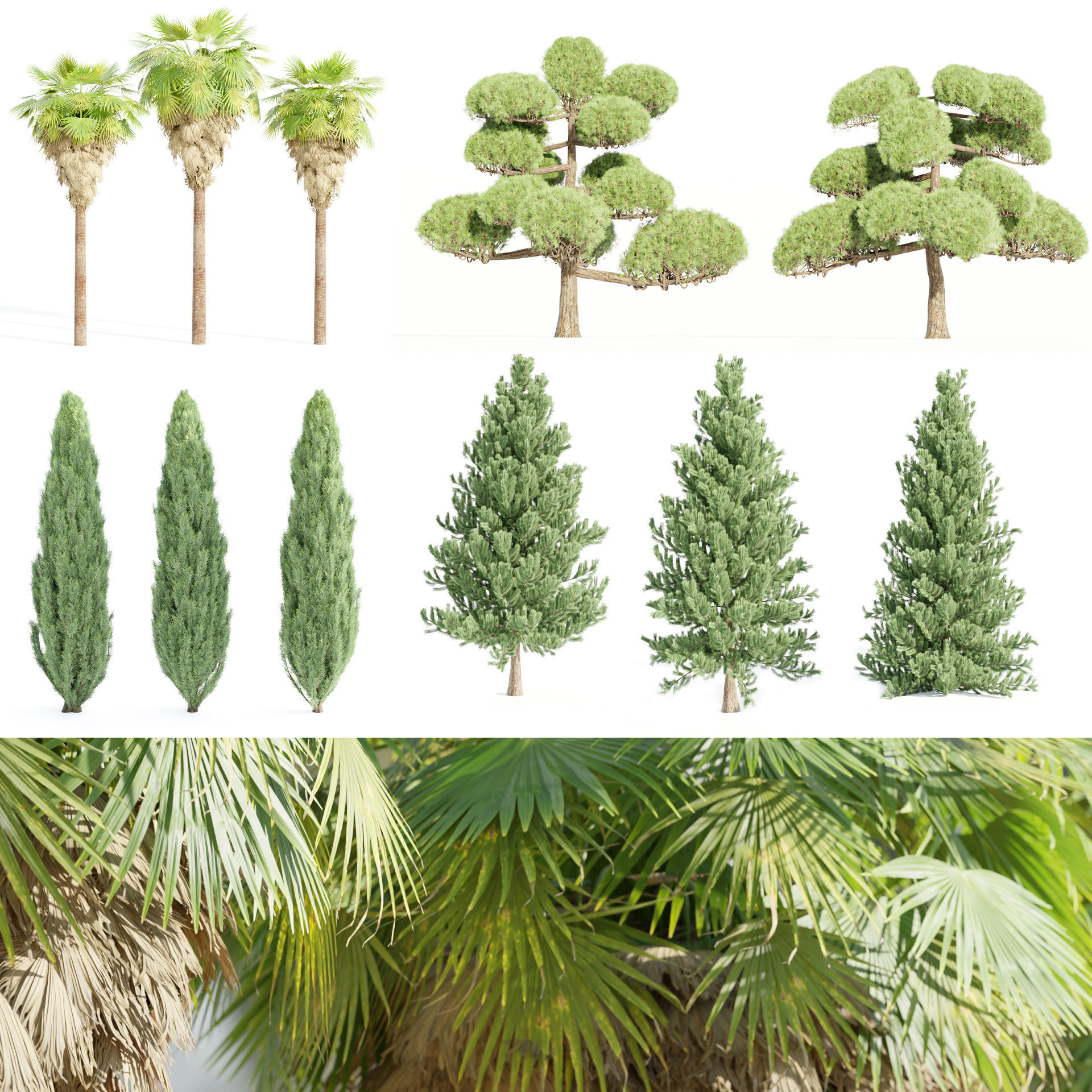 50 Tree Models Collection-Blender 3D model_2