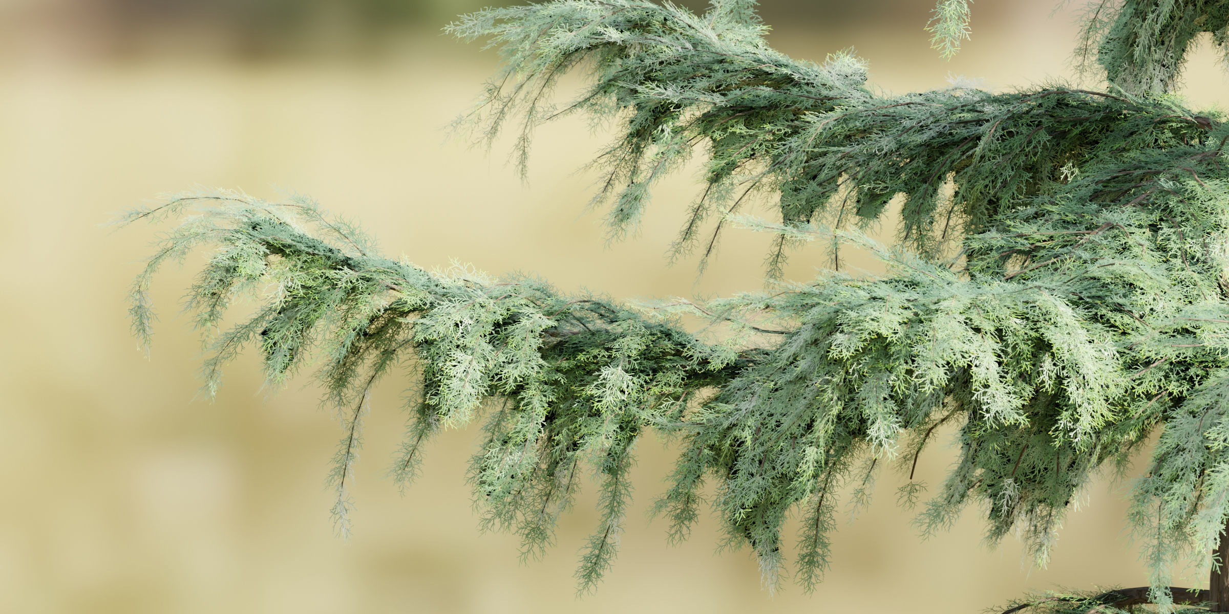 50 Tree Models Collection-Blender 3D model_6