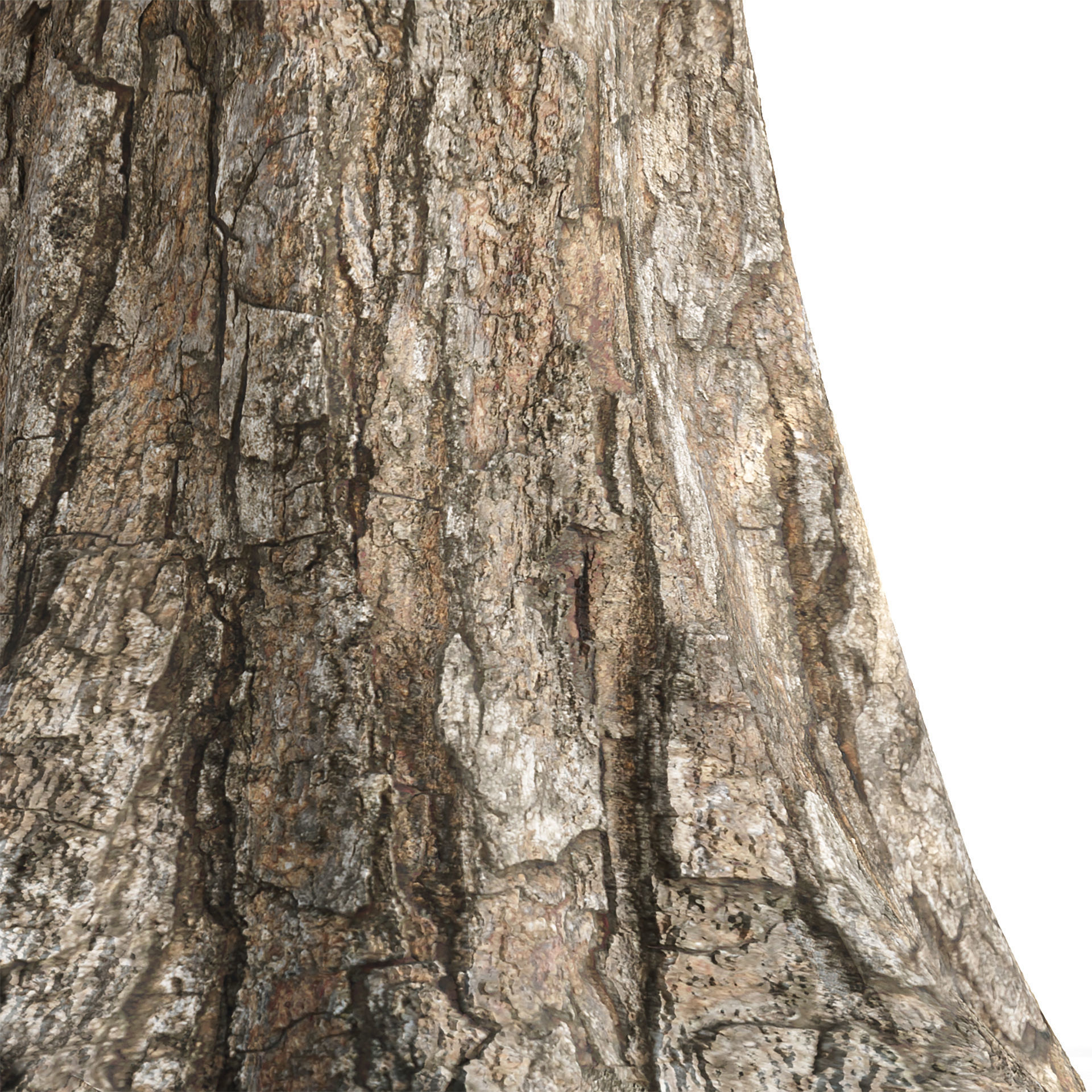 50 Tree Models Collection-Blender 3D model_69