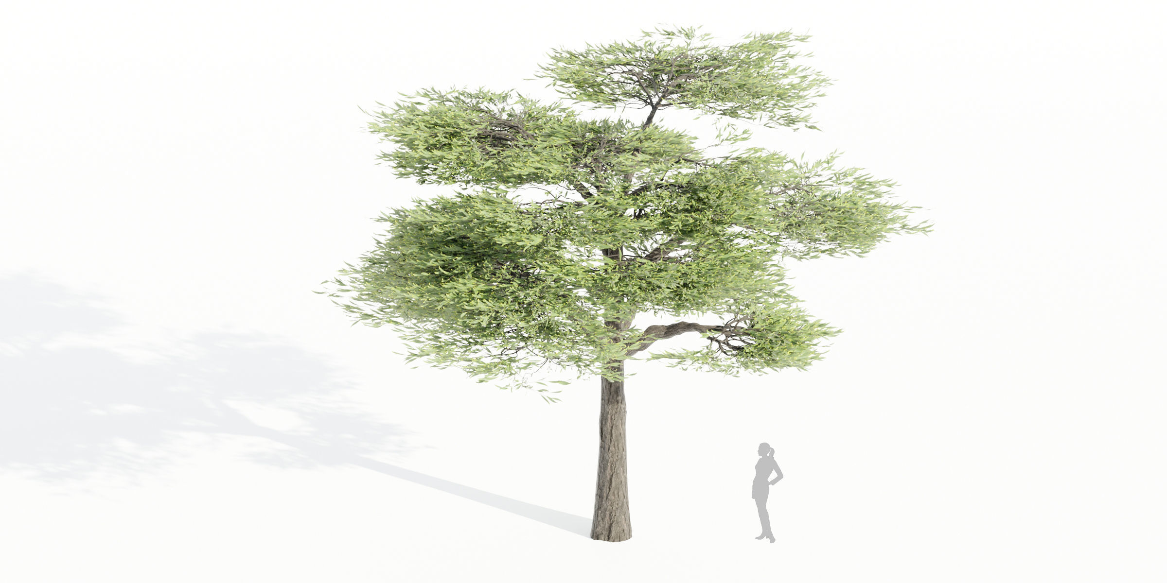 50 Tree Models Collection-Blender 3D model_46