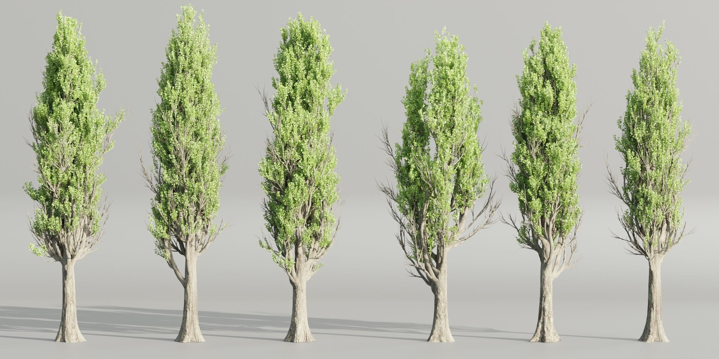 50 Tree Models Collection-Blender 3D model_31