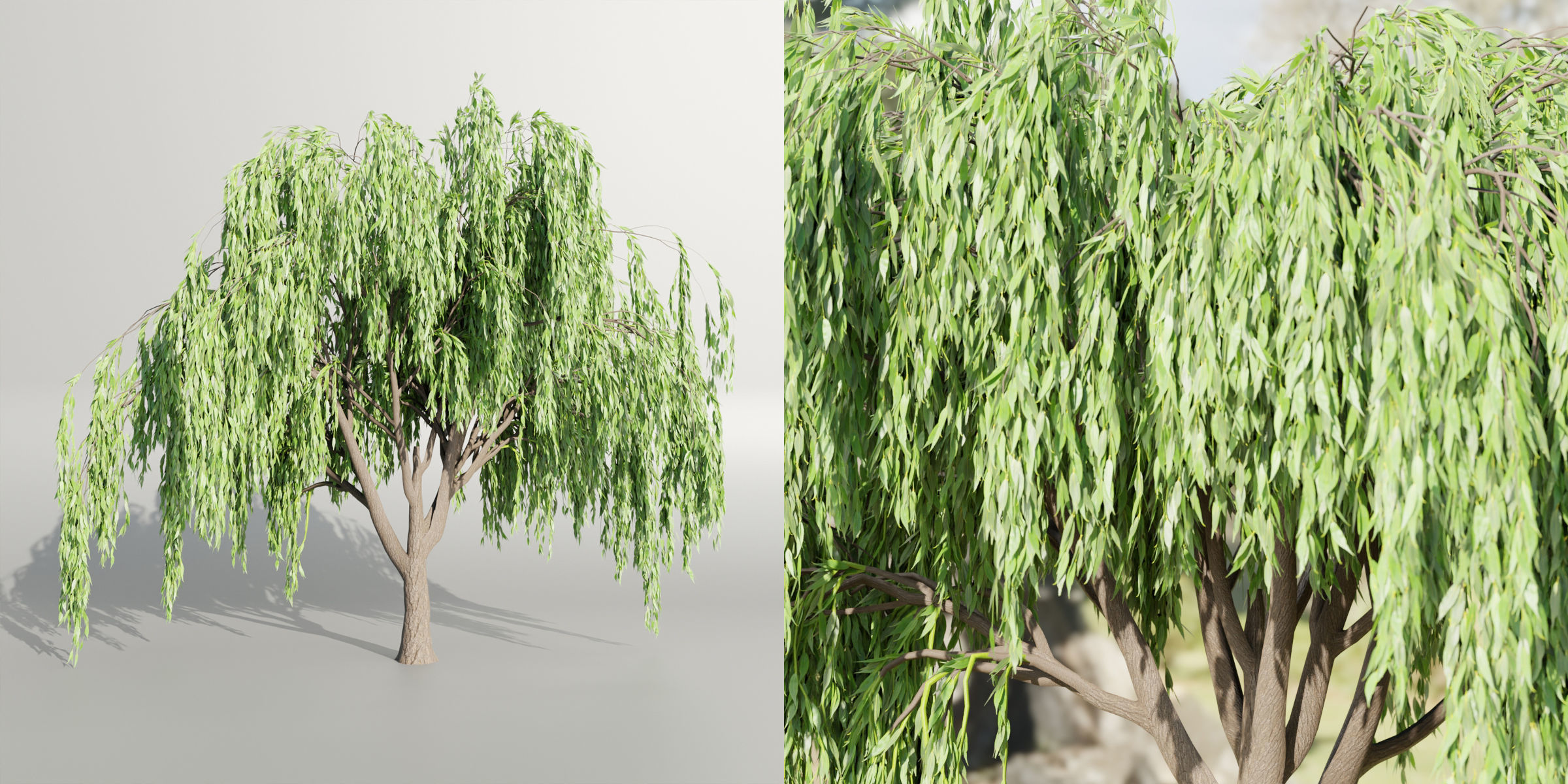 50 Tree Models Collection-Blender 3D model_43