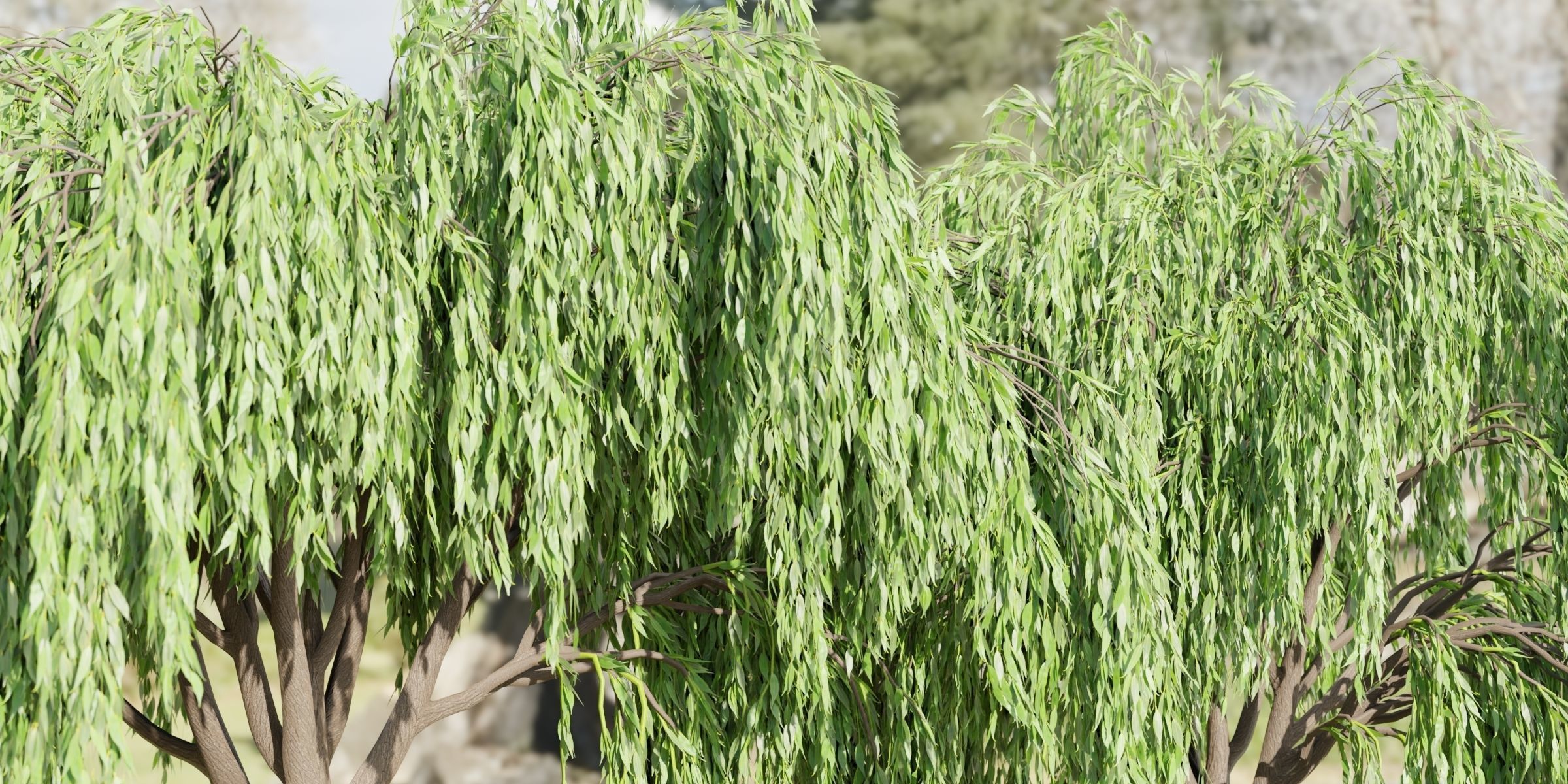 50 Tree Models Collection-Blender 3D model_12