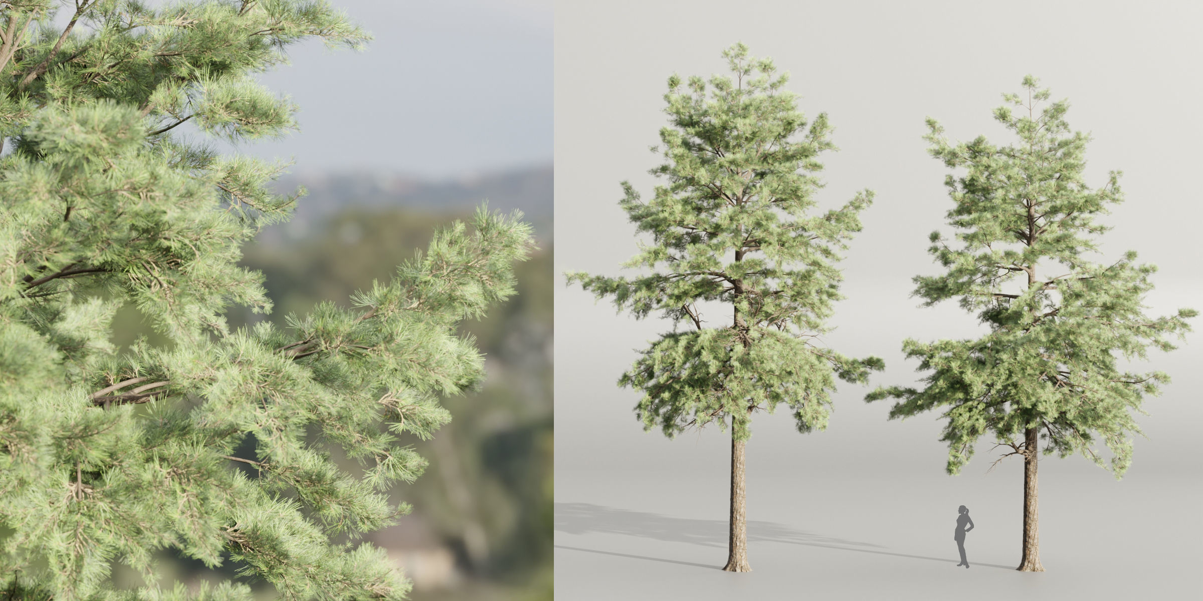 50 Tree Models Collection-Blender 3D model_53
