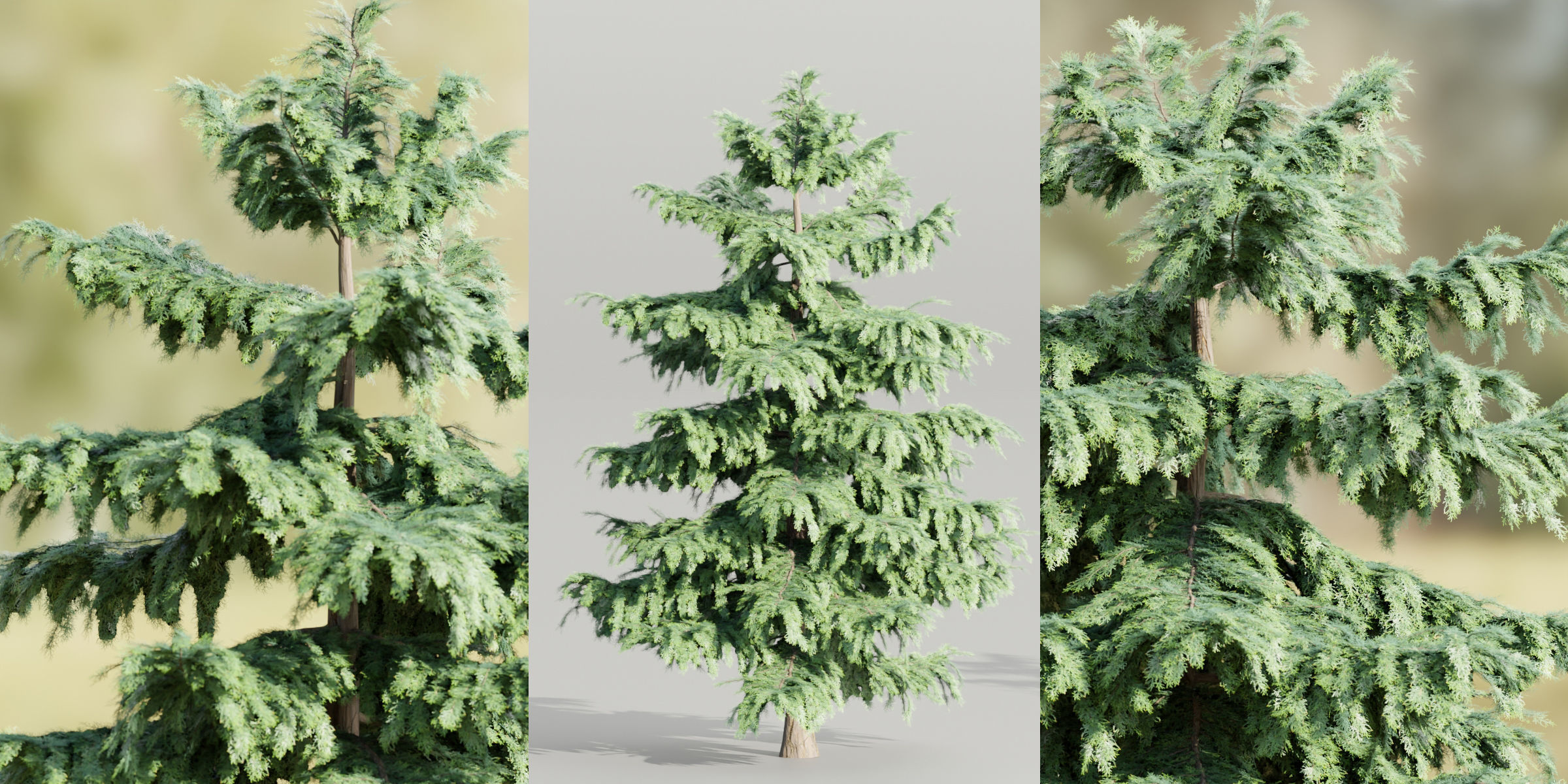 50 Tree Models Collection-Blender 3D model_36