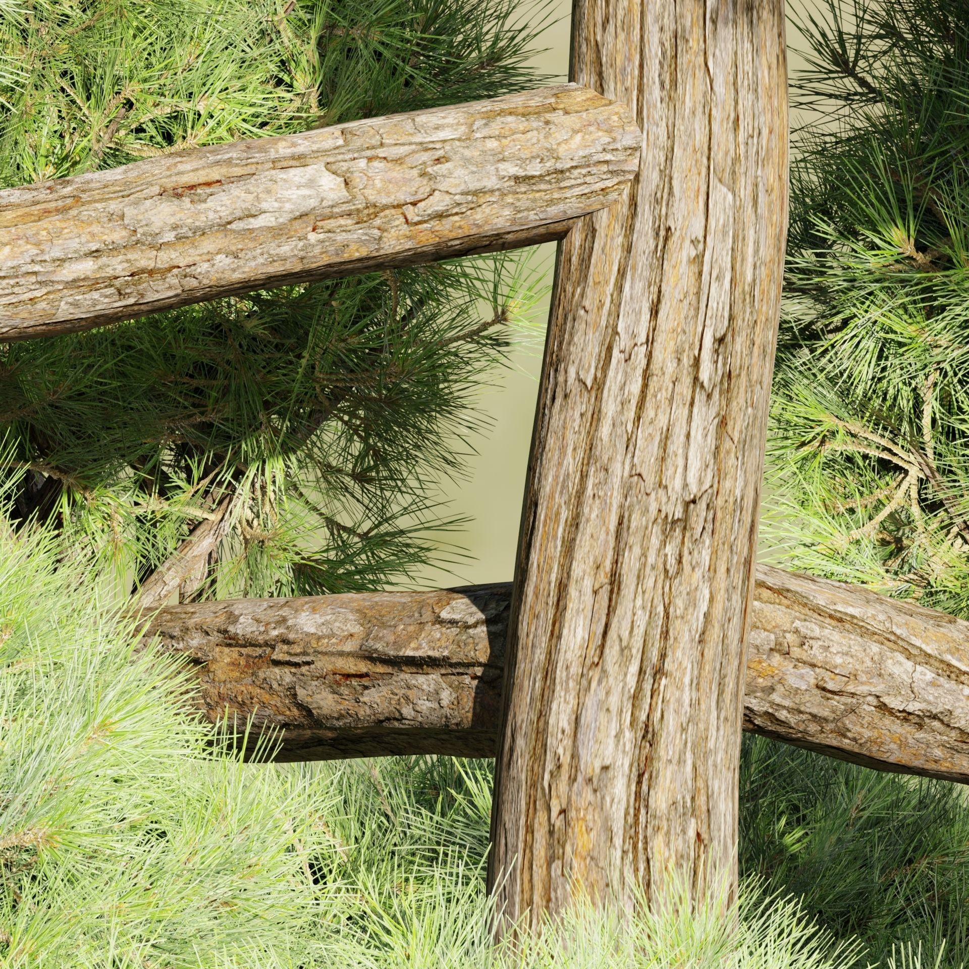 50 Tree Models Collection-Blender 3D model_60