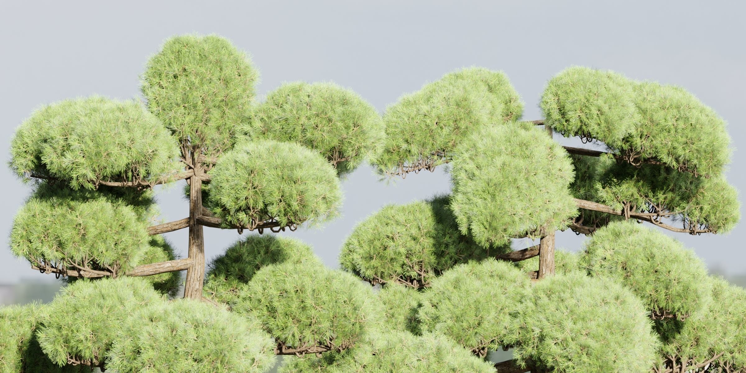 50 Tree Models Collection-Blender 3D model_57