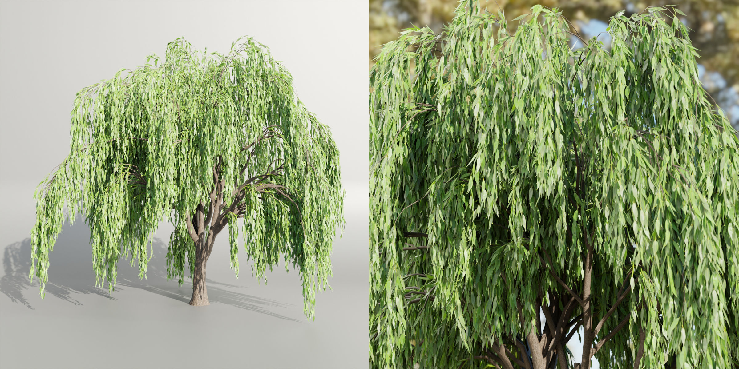 50 Tree Models Collection-Blender 3D model_44