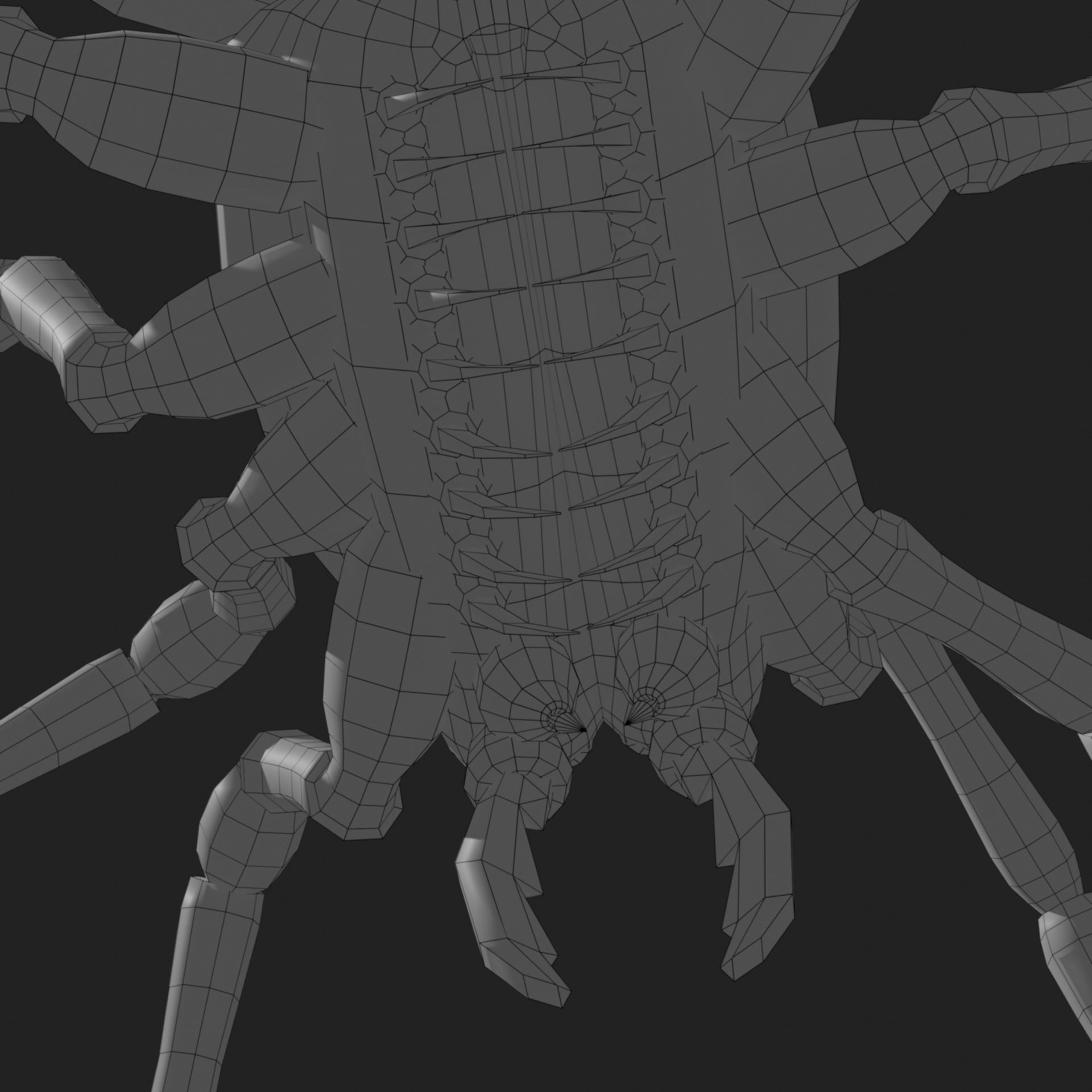 The Devour Spider - Rigged and Animated Low-poly 3D model_12