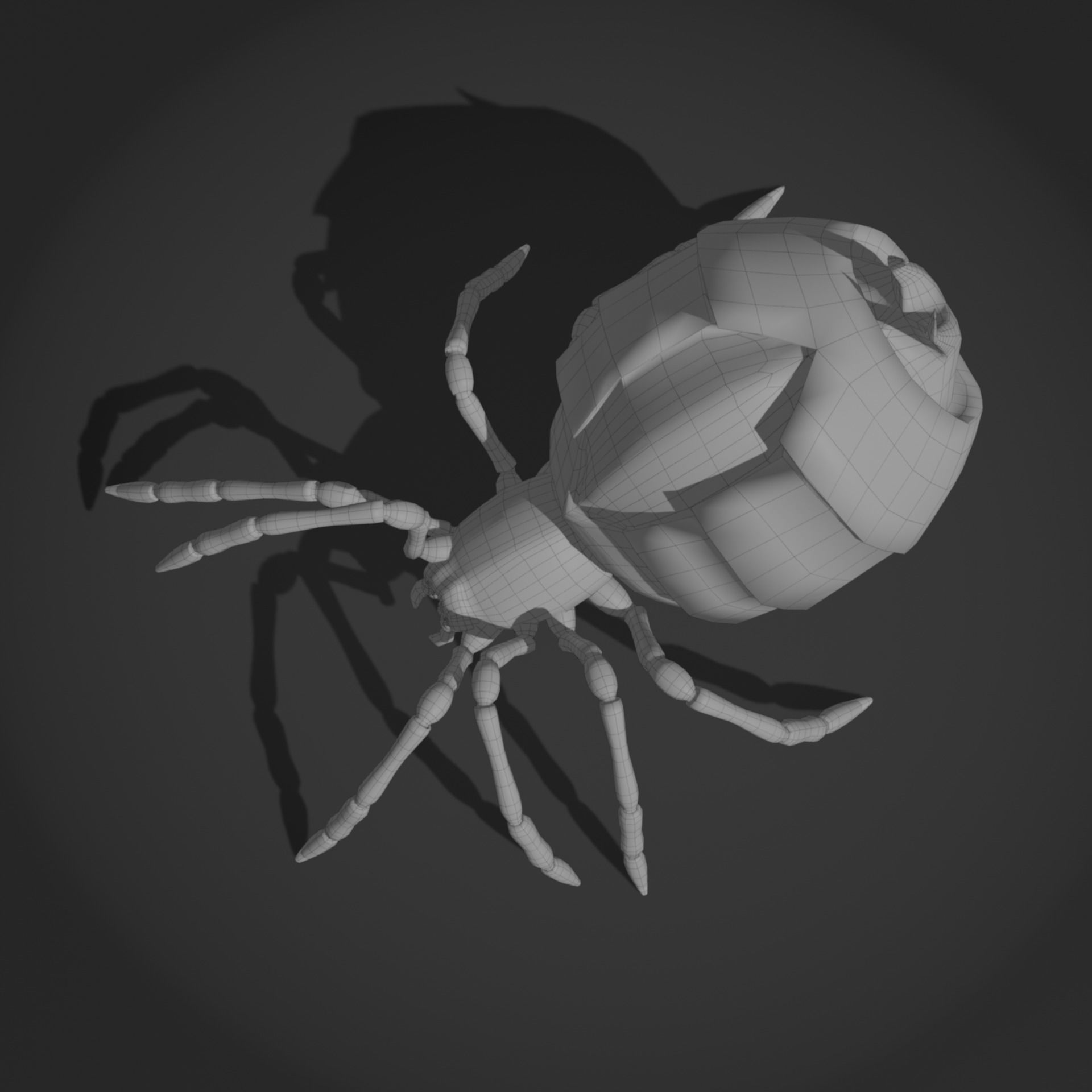 The Devour Spider - Rigged and Animated Low-poly 3D model_8