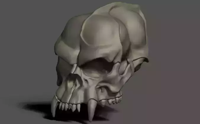Bugbear skull no jaw