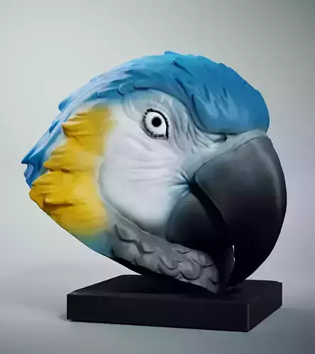 Parrots Free 3D print model