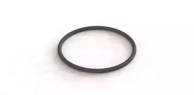 O Ring Vedabras 12998