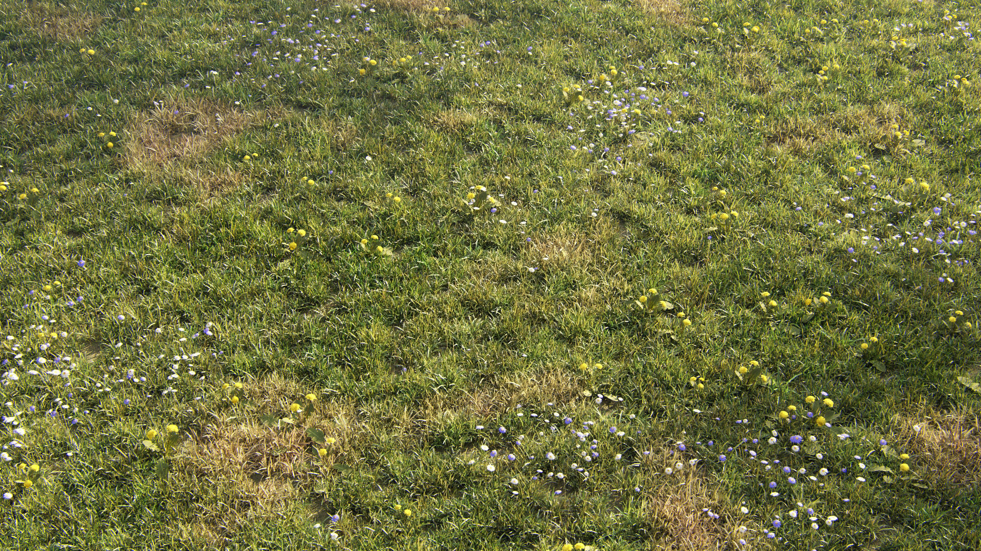 Grass for mountainous terrain 3D model_7