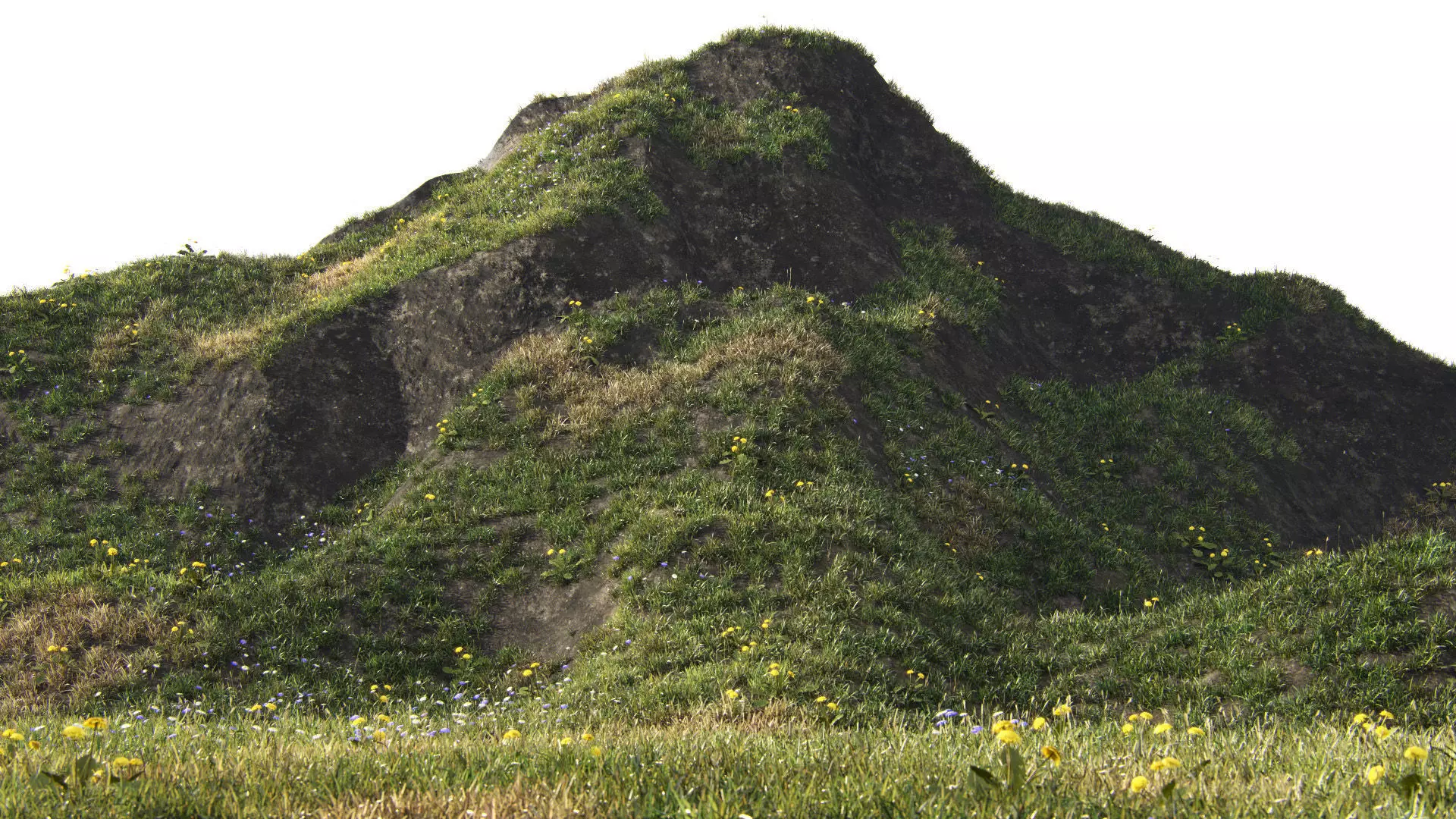 Grass for mountainous terrain 3D model_0