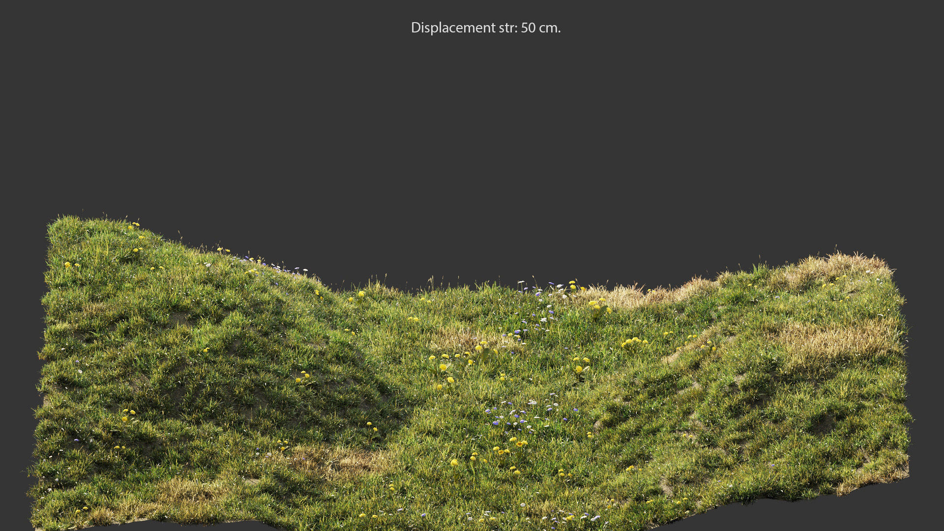 Grass for mountainous terrain 3D model_3