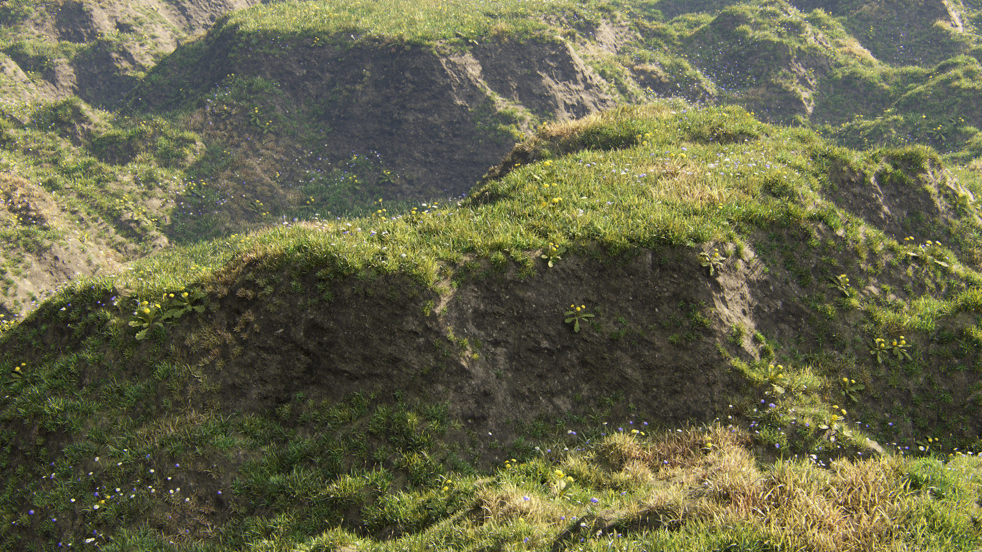 Grass for mountainous terrain 3D model_6