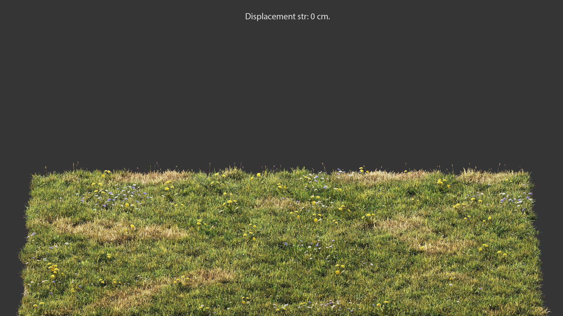 Grass for mountainous terrain 3D model_2