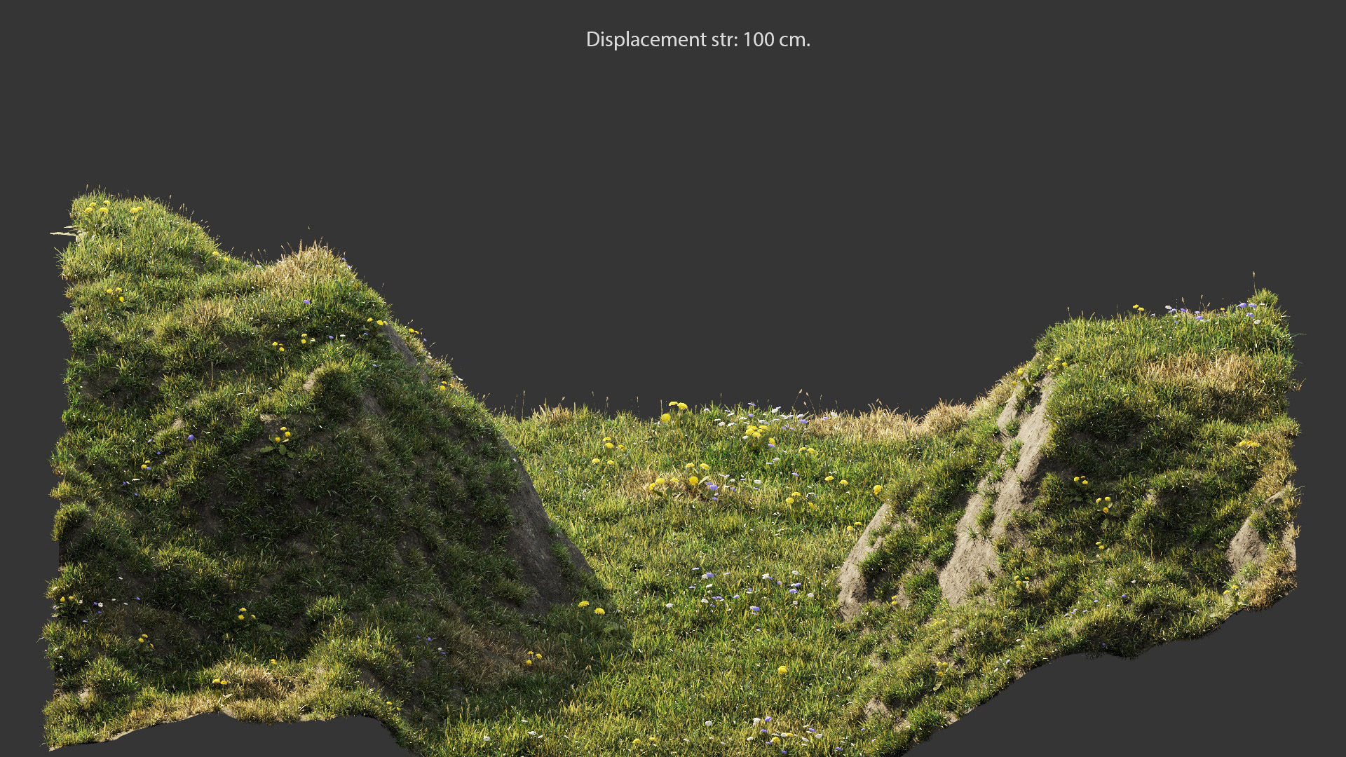 Grass for mountainous terrain 3D model_4