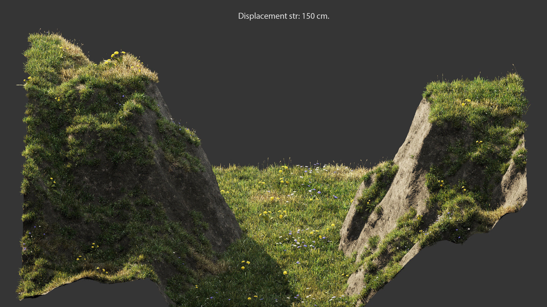 Grass for mountainous terrain 3D model_5