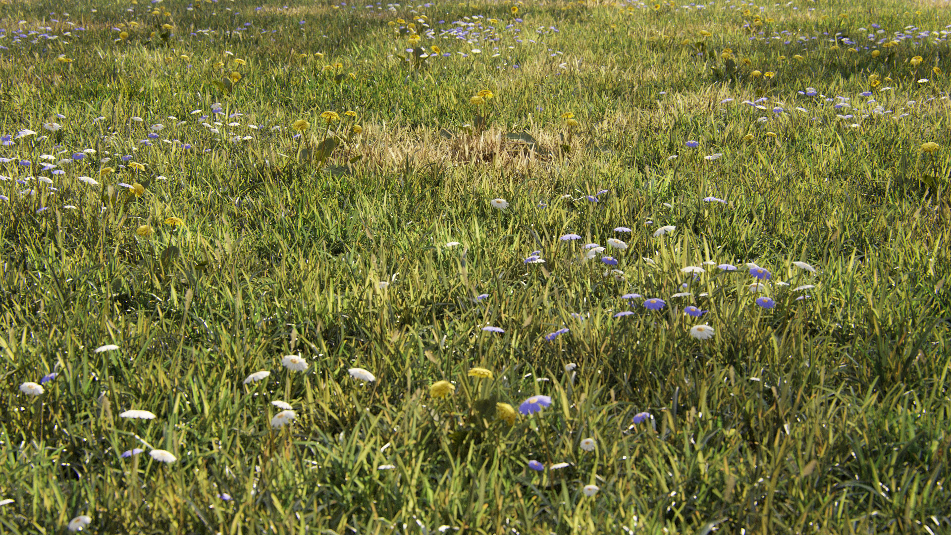 Grass for mountainous terrain 3D model_8