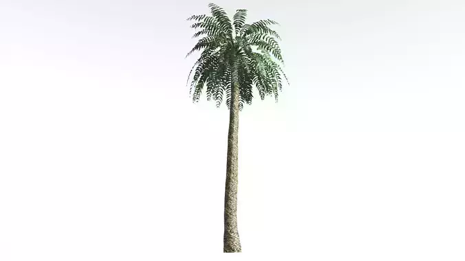 EVERYPlant Date Palm LowPoly 2 --16 Models-- Low-poly 3D model