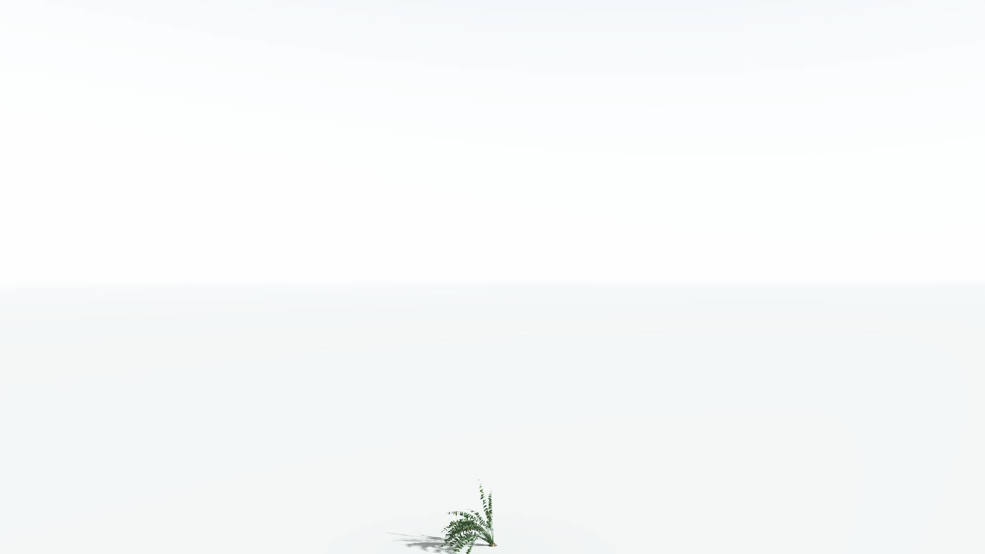 EVERYPlant Date Palm LowPoly 3 --16 Models-- Low-poly 3D model_22