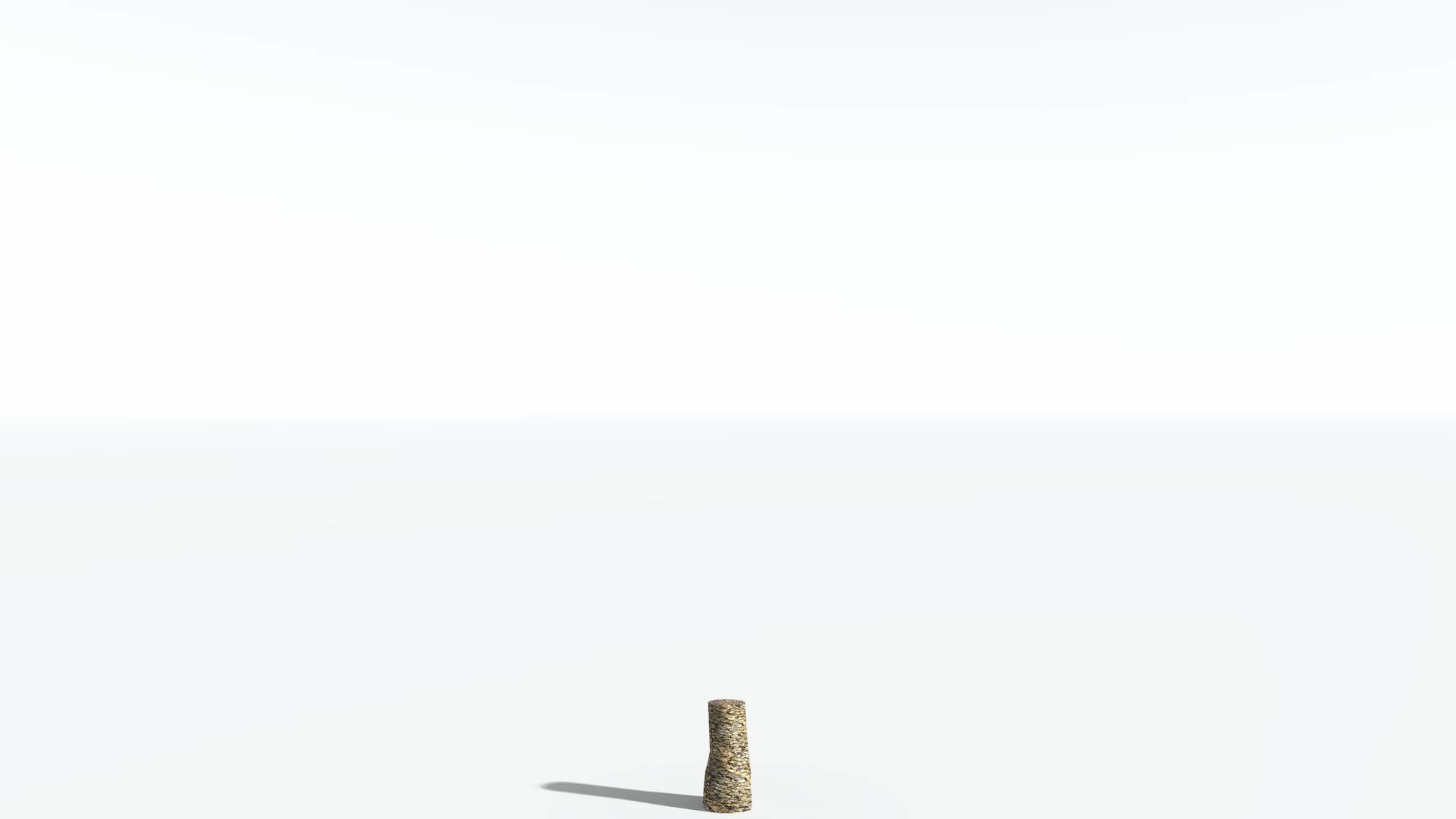 EVERYPlant Date Palm LowPoly 3 --16 Models-- Low-poly 3D model_12