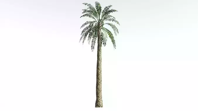 EVERYPlant Date Palm LowPoly 3 --16 Models-- Low-poly 3D model