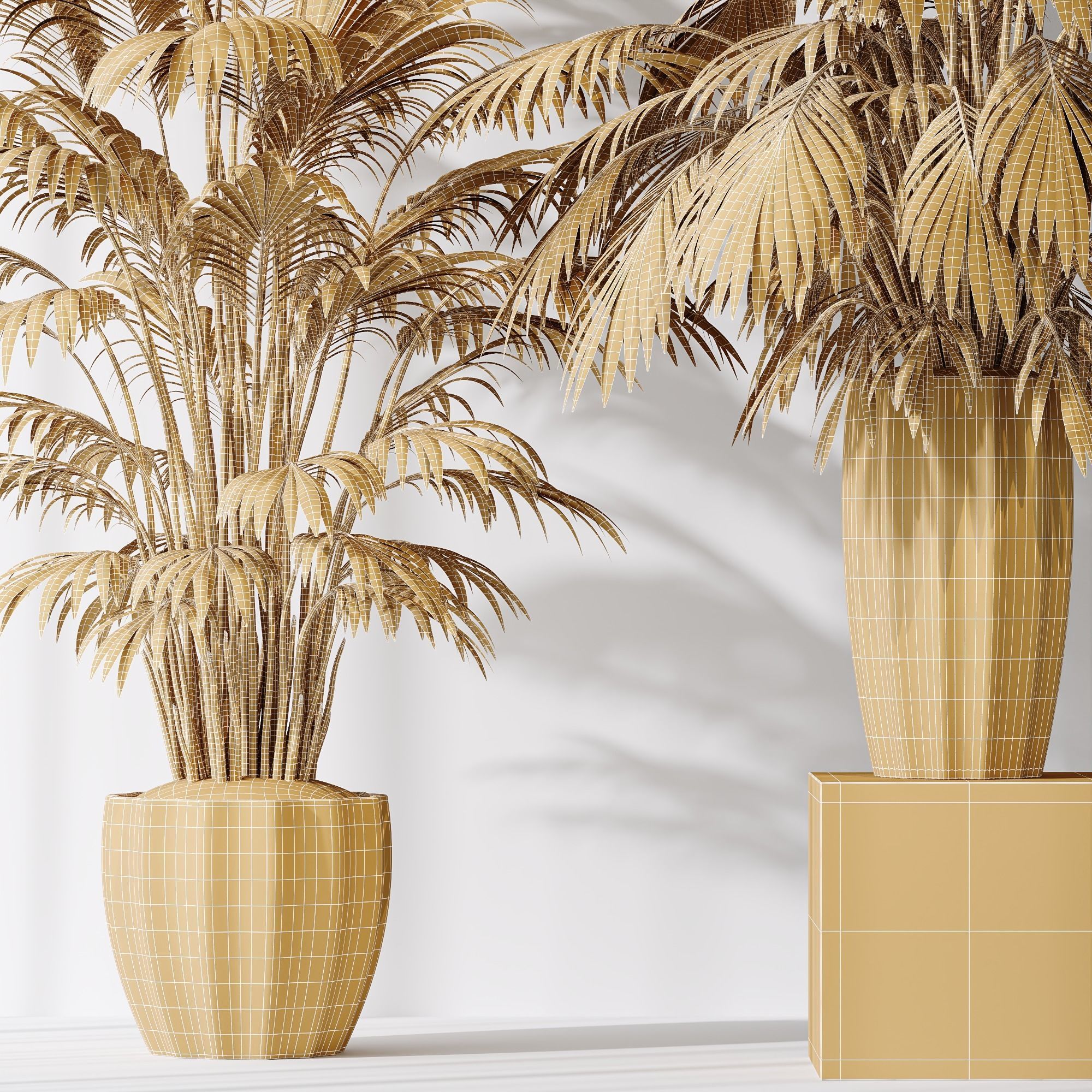 Areca Majesty Cat Reed Palm vases 3D model_6