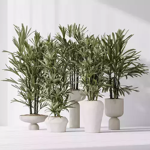 Dracaena Warneckii Lemon and Rhapis Excelsa vases 3D model