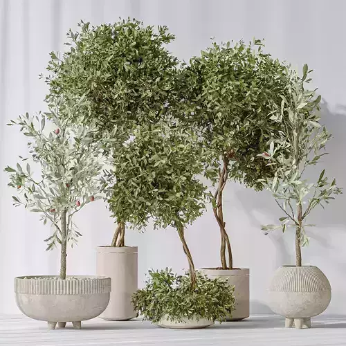 Olive Artificial Olivo Olea Tree 3D model