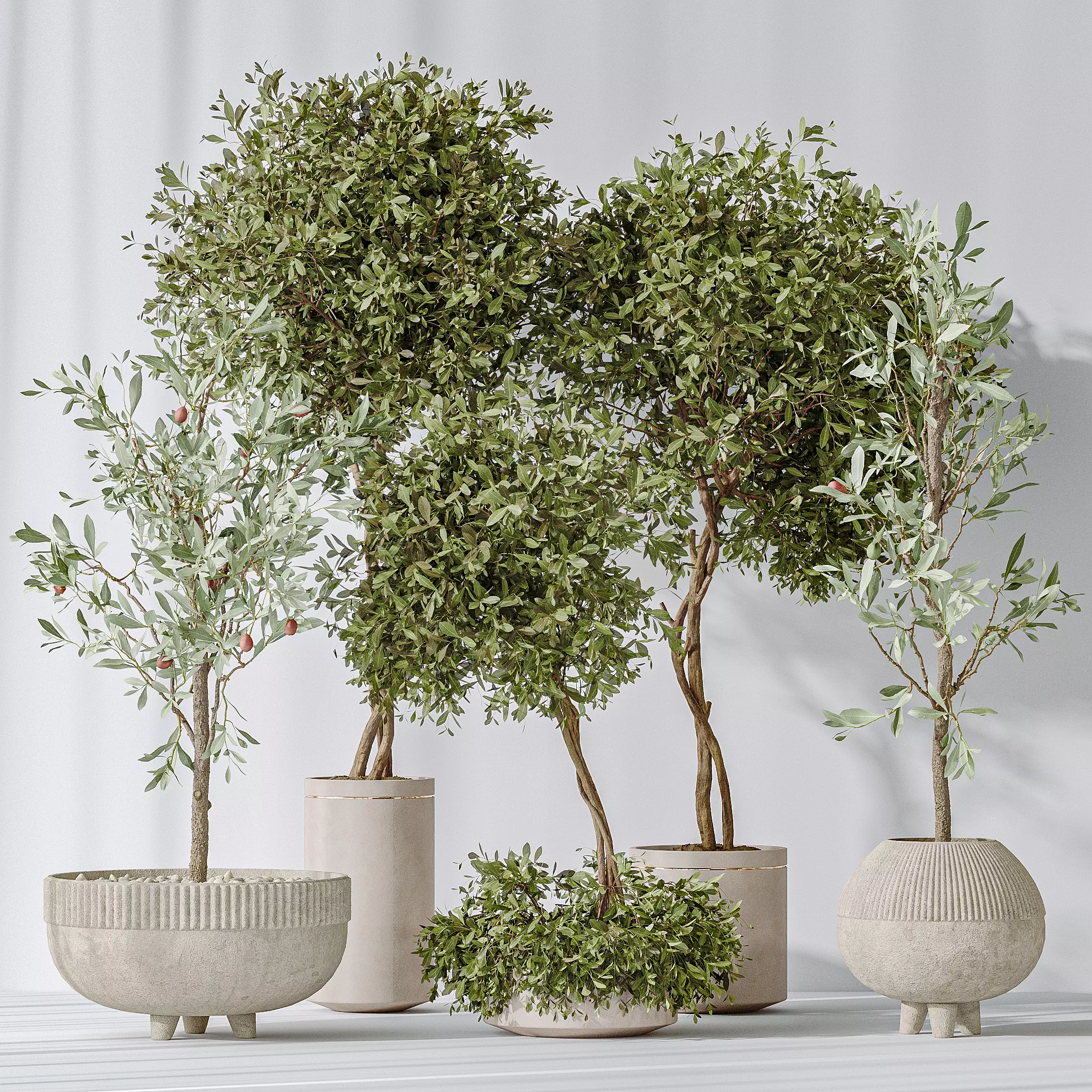 Olive Artificial Olivo Olea Tree 3D model_0