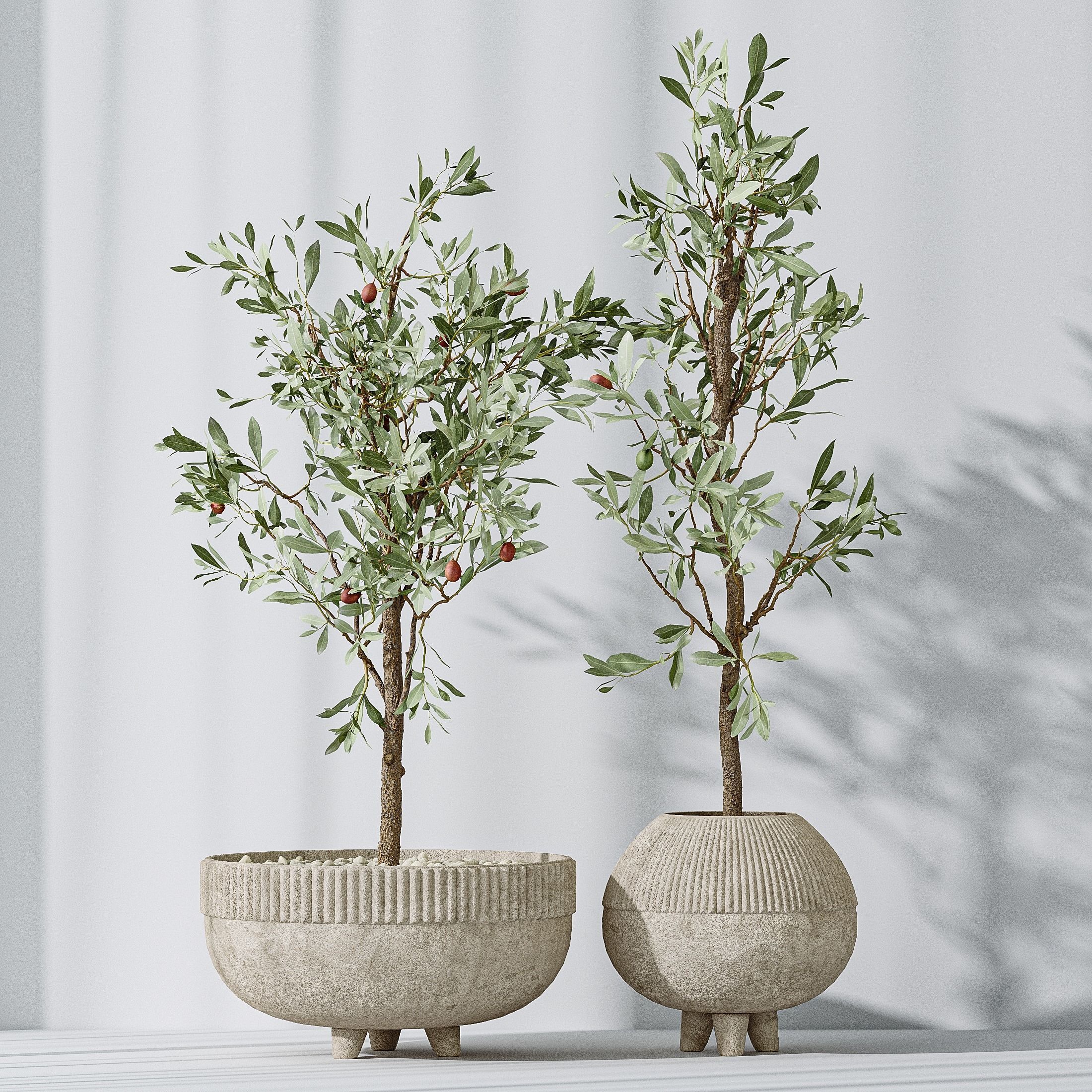 Olive Artificial Olivo Olea Tree 3D model_3