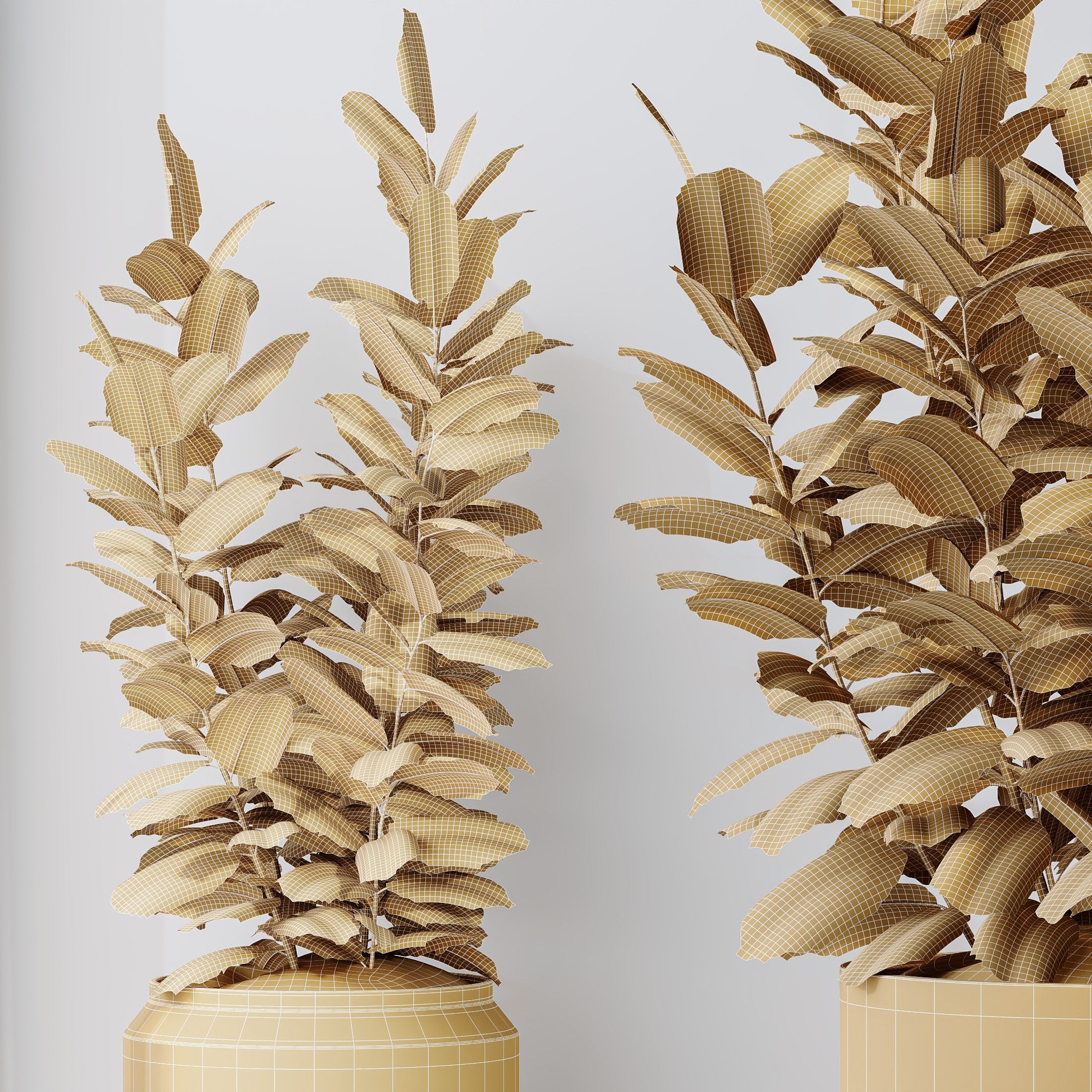 Rubber Ficus Elastica Abidjan Melany vases 3D model_6