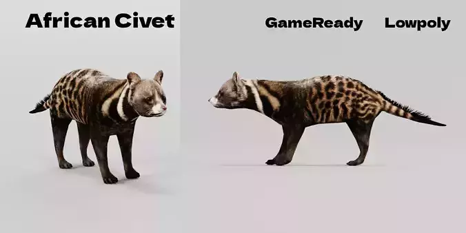 African Civet Cat Low-poly 3D model