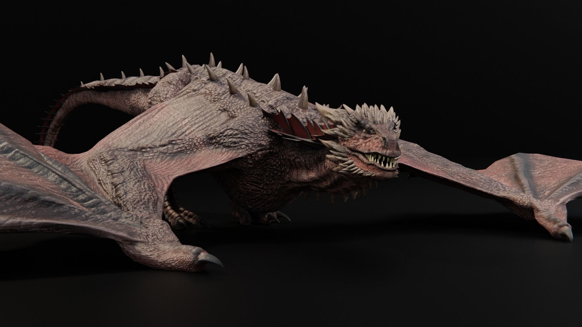 Wyvern Dragon  Low-poly 3D model_3