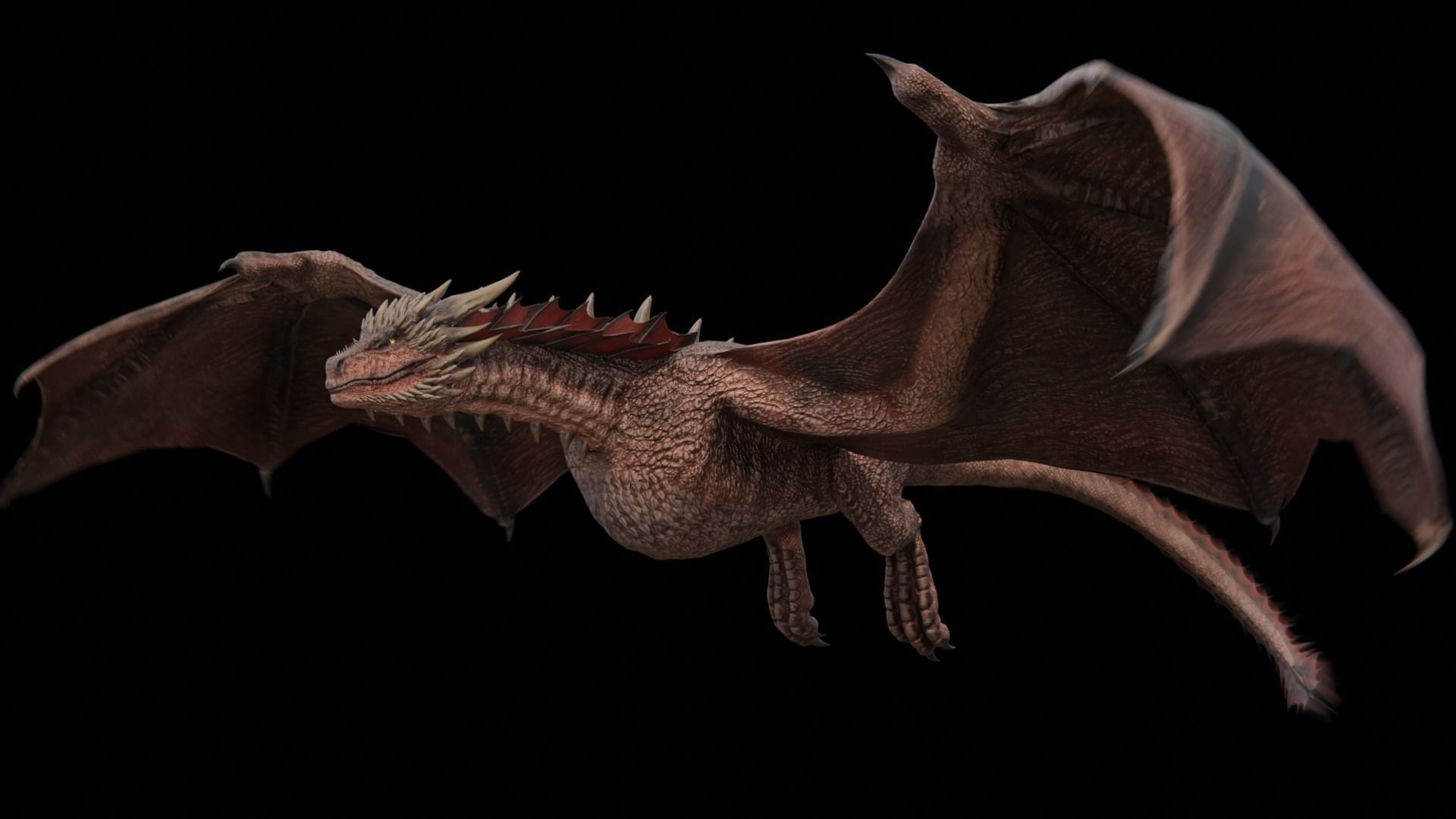 Wyvern Dragon  Low-poly 3D model_13