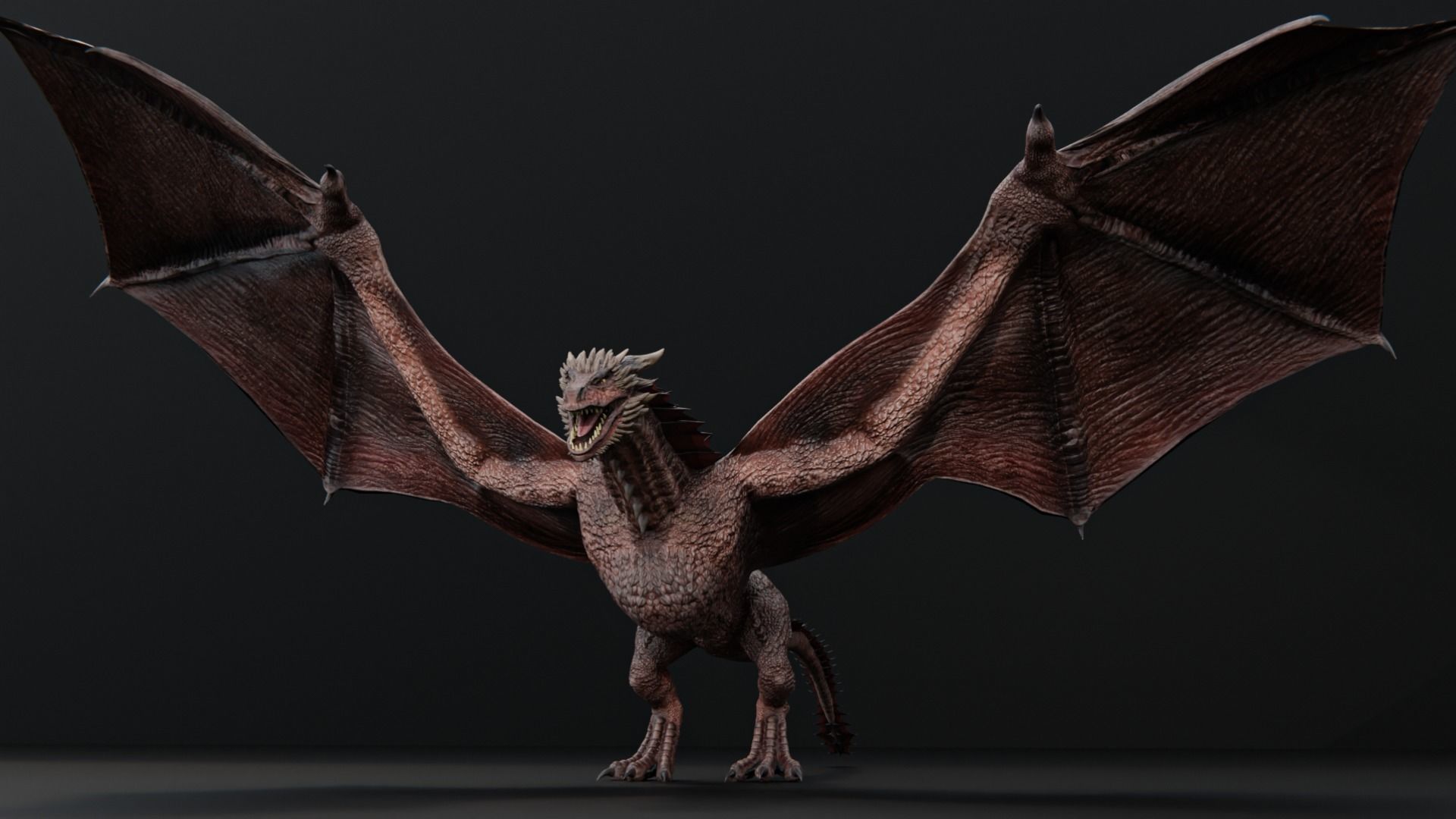 Wyvern Dragon  Low-poly 3D model_10