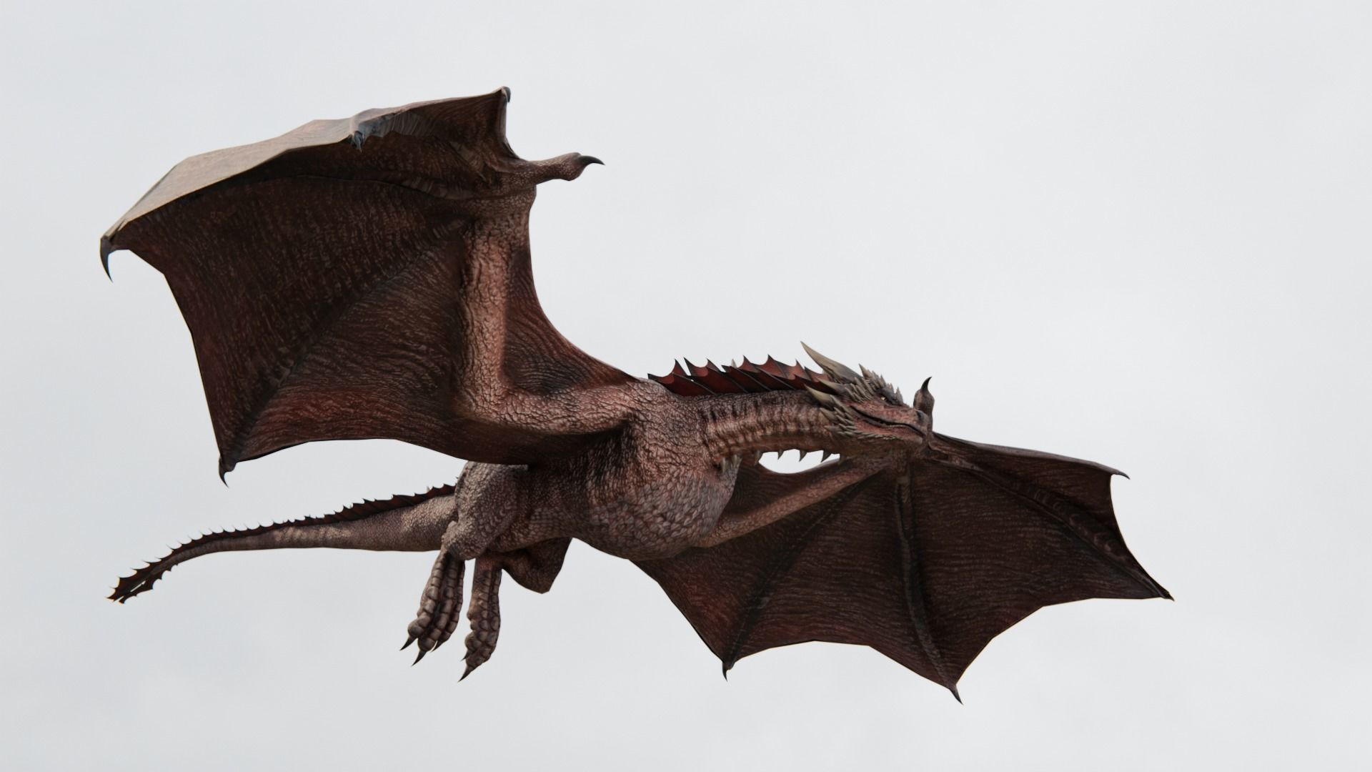 Wyvern Dragon  Low-poly 3D model_17