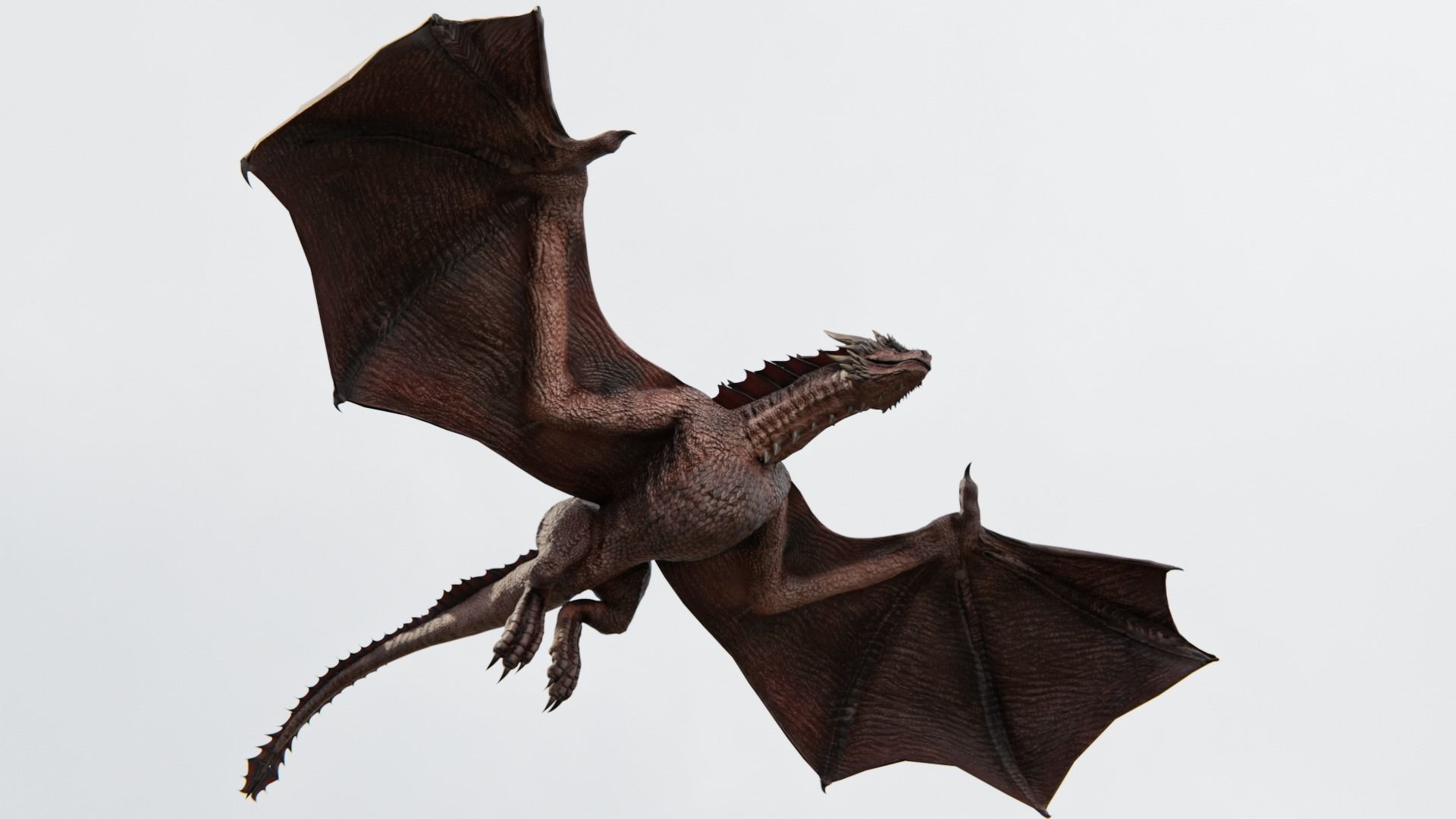 Wyvern Dragon  Low-poly 3D model_18