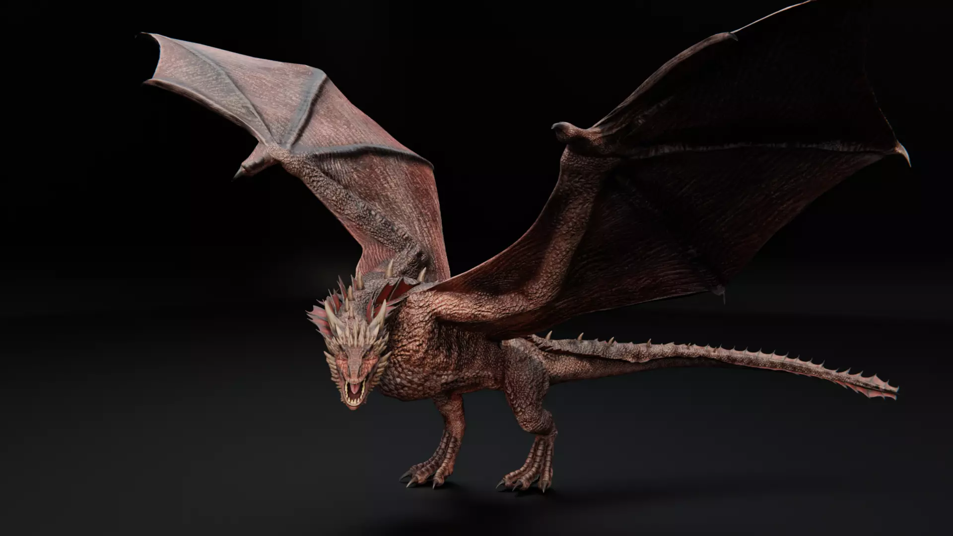 Wyvern Dragon  Low-poly 3D model_0