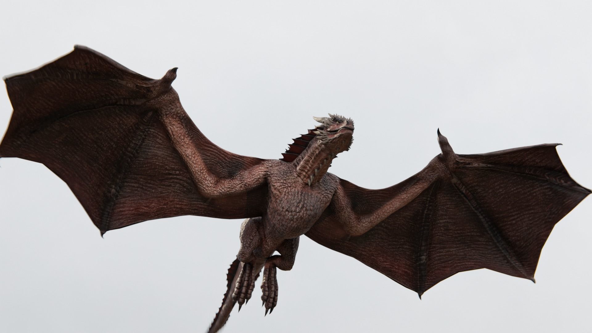 Wyvern Dragon  Low-poly 3D model_20