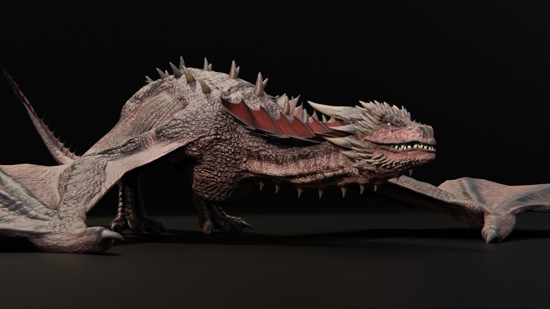 Wyvern Dragon  Low-poly 3D model_31