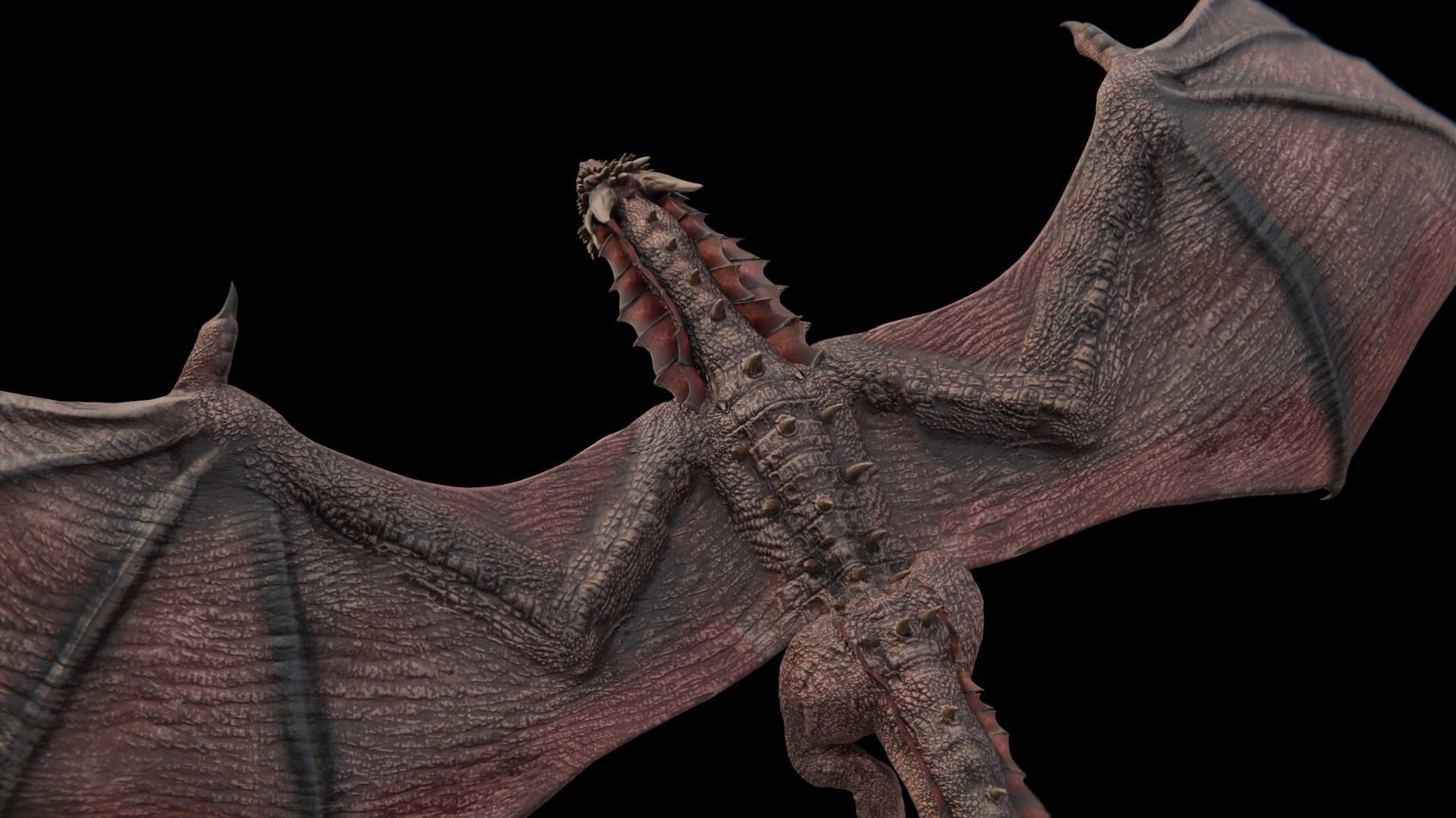 Wyvern Dragon  Low-poly 3D model_14