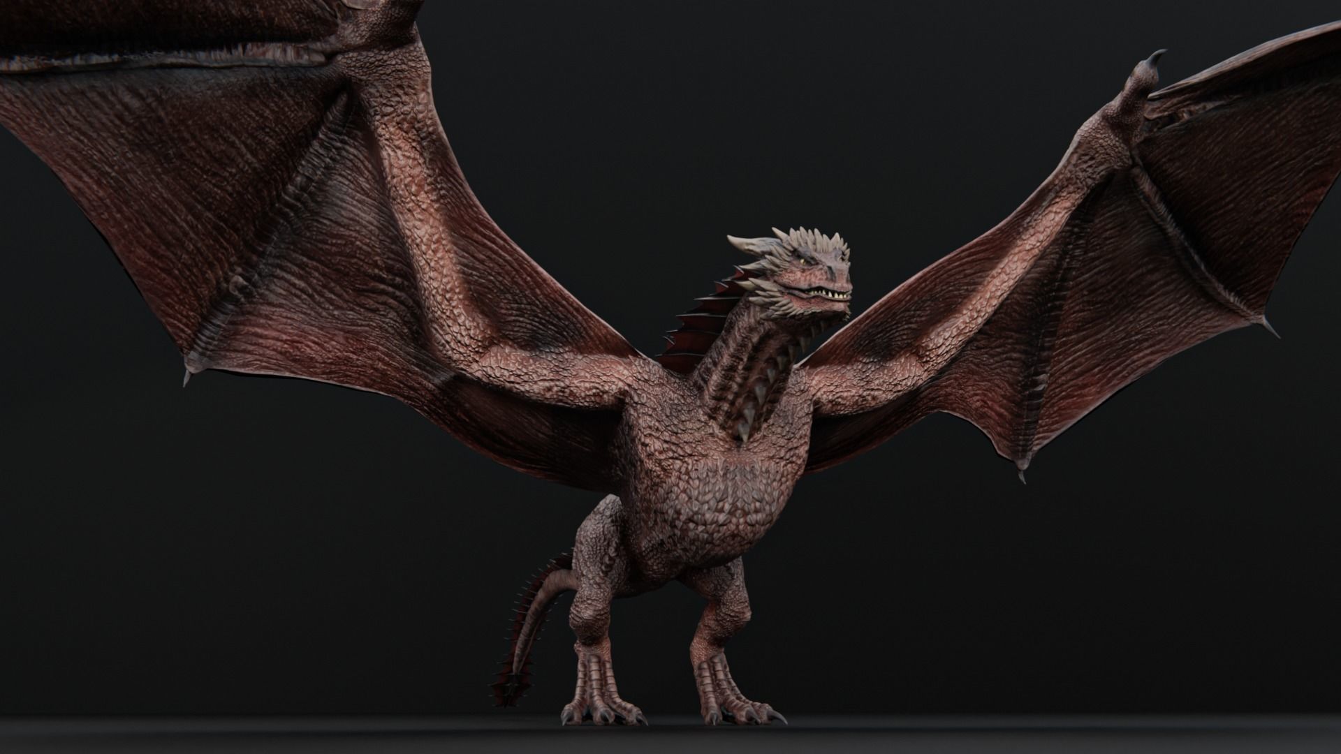 Wyvern Dragon  Low-poly 3D model_34