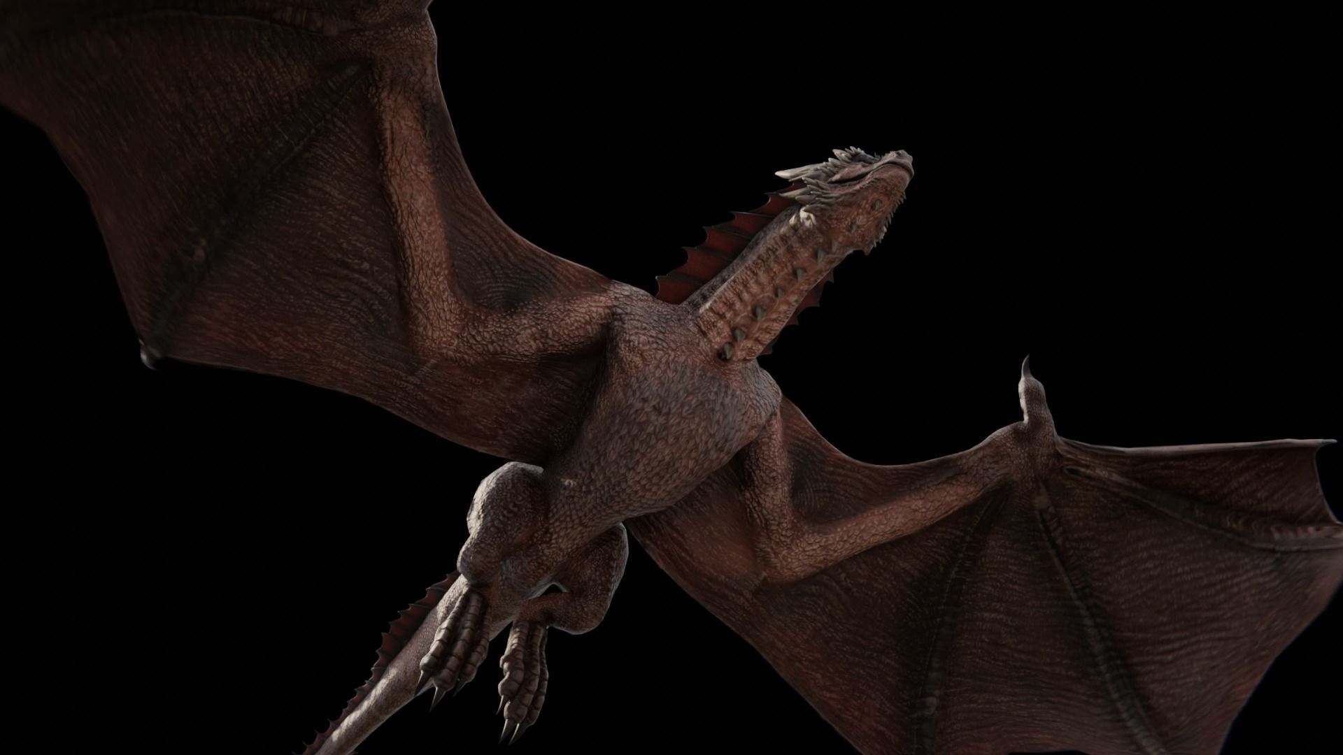 Wyvern Dragon  Low-poly 3D model_16