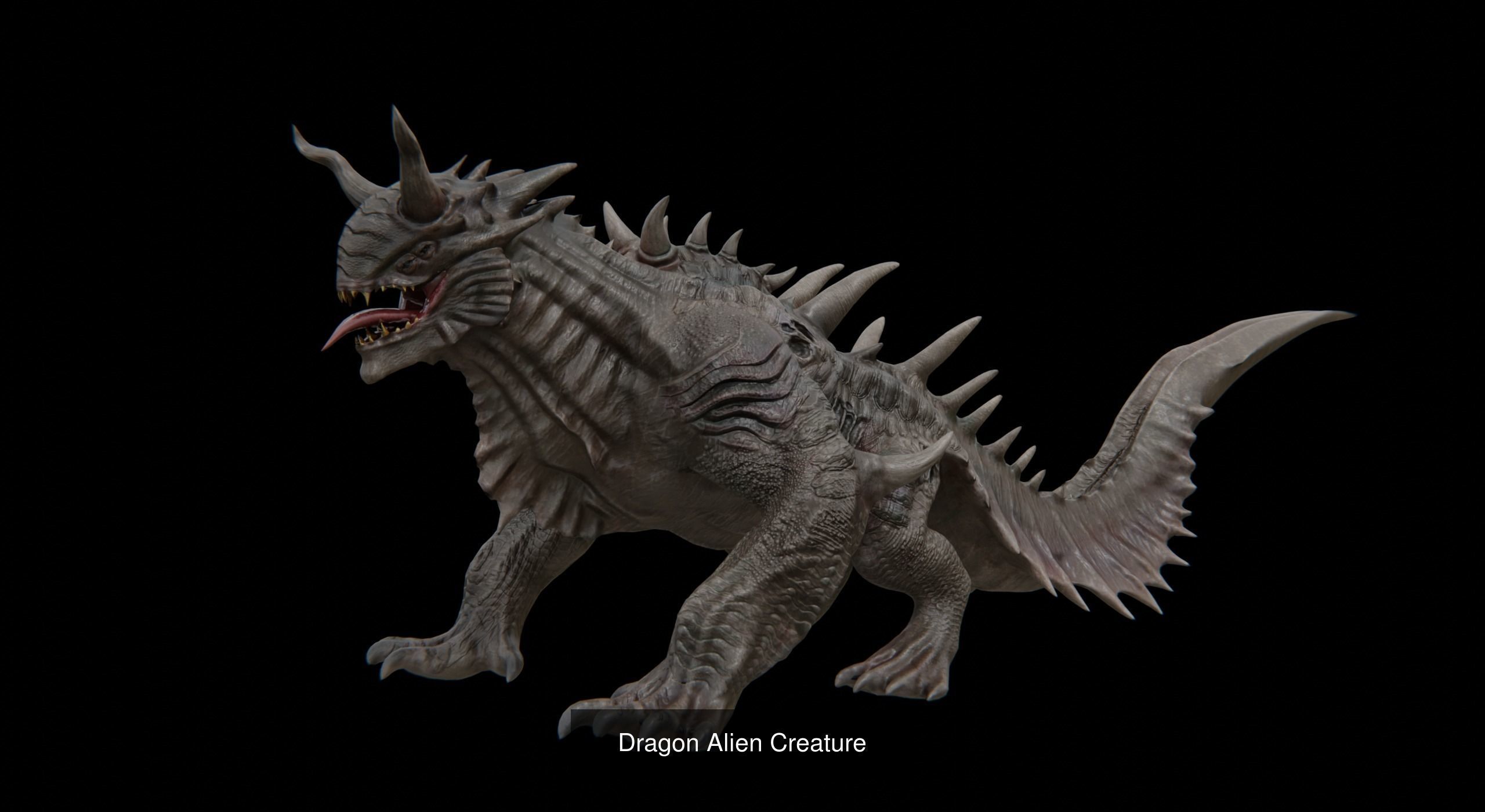 Dragons Creature 3D Model Collection_4