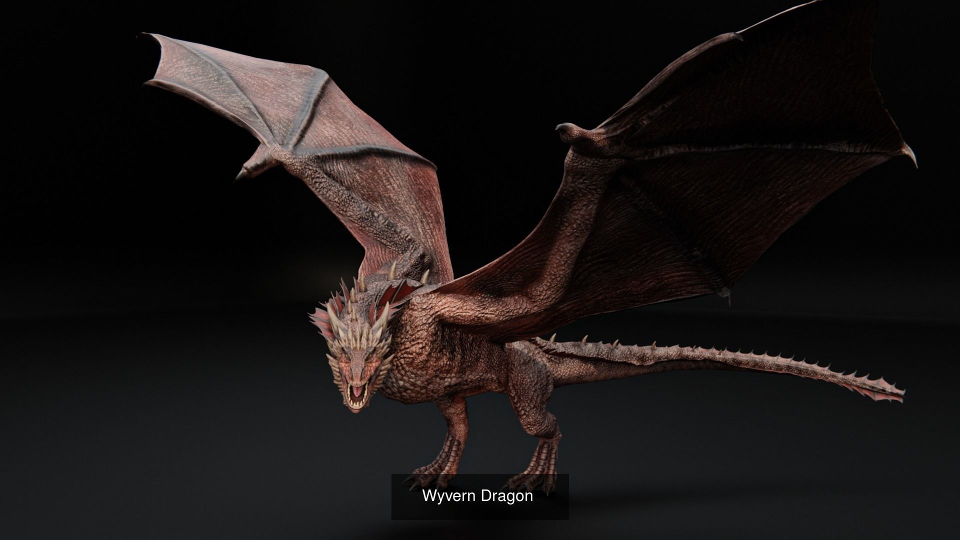 Dragons Creature 3D Model Collection_3