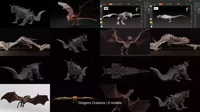 Dragons Creature 3D Model Collection